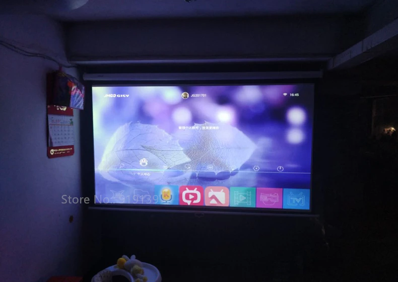 100inch 16x9 Manual Screen pic 33