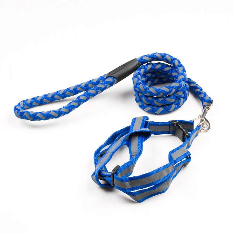 2 dog harness 