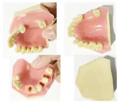 Стоматологические материалы модель орального имплантата хирургические maxillary sinus Стоматологические принадлежности оборудование инструменты мягкие десны - Цвет: Цвет слоновой кости