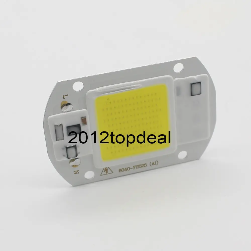 50W LEDs Floodlights COB Chip 110V 220V Input Integrated Smart IC Driver