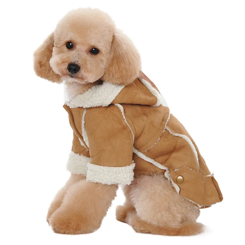 Собака в пальто картинки