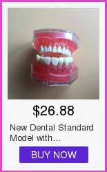 Alta Qualidade Dental Typodon Dentes Modelo - Ortodôntico Steelteeth M8017 9 High Quality Beleza e saúde