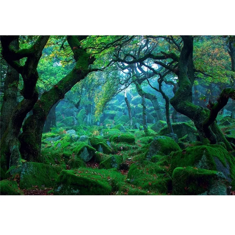 

5x3FT professional Nature Forest Tree Theme Photography Background For Studio Photo Props Photographic Backdrops cloth 150X90cm