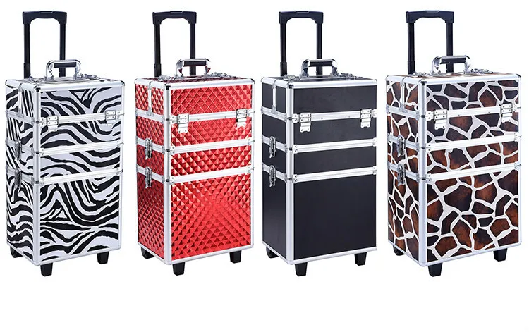 case (4)