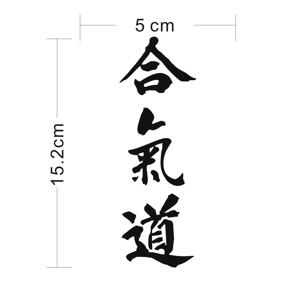Cunymagos AIKIDO Kanji Love Creative Car Body Decal Chinese Characters Car Styling Car Stickers Motorcycle Auto Sticker 515 (2)