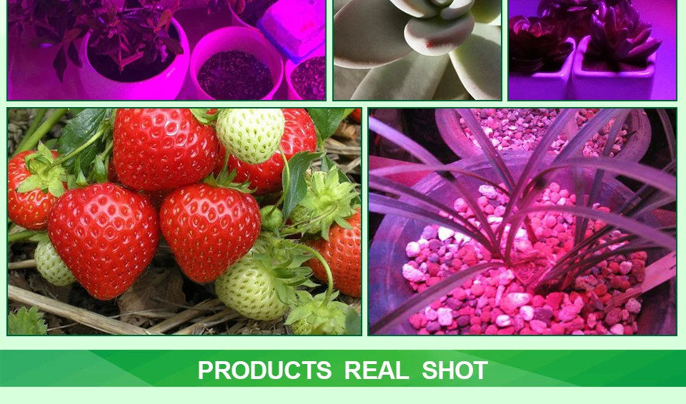 LED PHYTO GROW LIGHTS (15)
