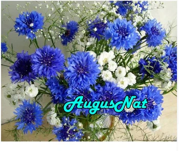 

5d diy diamond painting cornflower blue rhinestones stickers flower diamond embroidery cross stitch art handicraft gift big size
