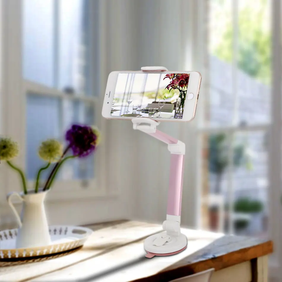 Suction Cup Car Mount Holder (4)
