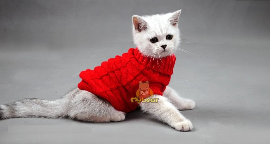 Spagetti цветной теплый осенне-зимний свитер для собаки для кошки, джемпер для питомца, одежда для кошек, маленьких кошек, собак, домашних животных - Цвет: Red