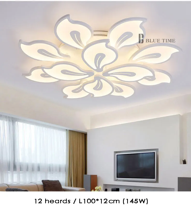 Ceiling-light12