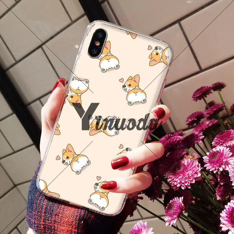 Animal cute Welsh Corgi sexy ass