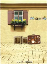 300cm*300cm Vinyl Custom Photography Backdrops Prop Digital Photo Studio Background S-6543