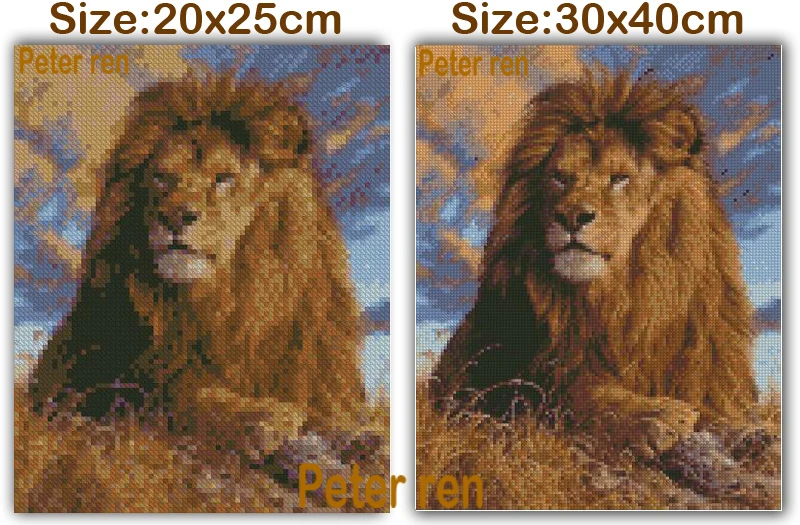 20-40