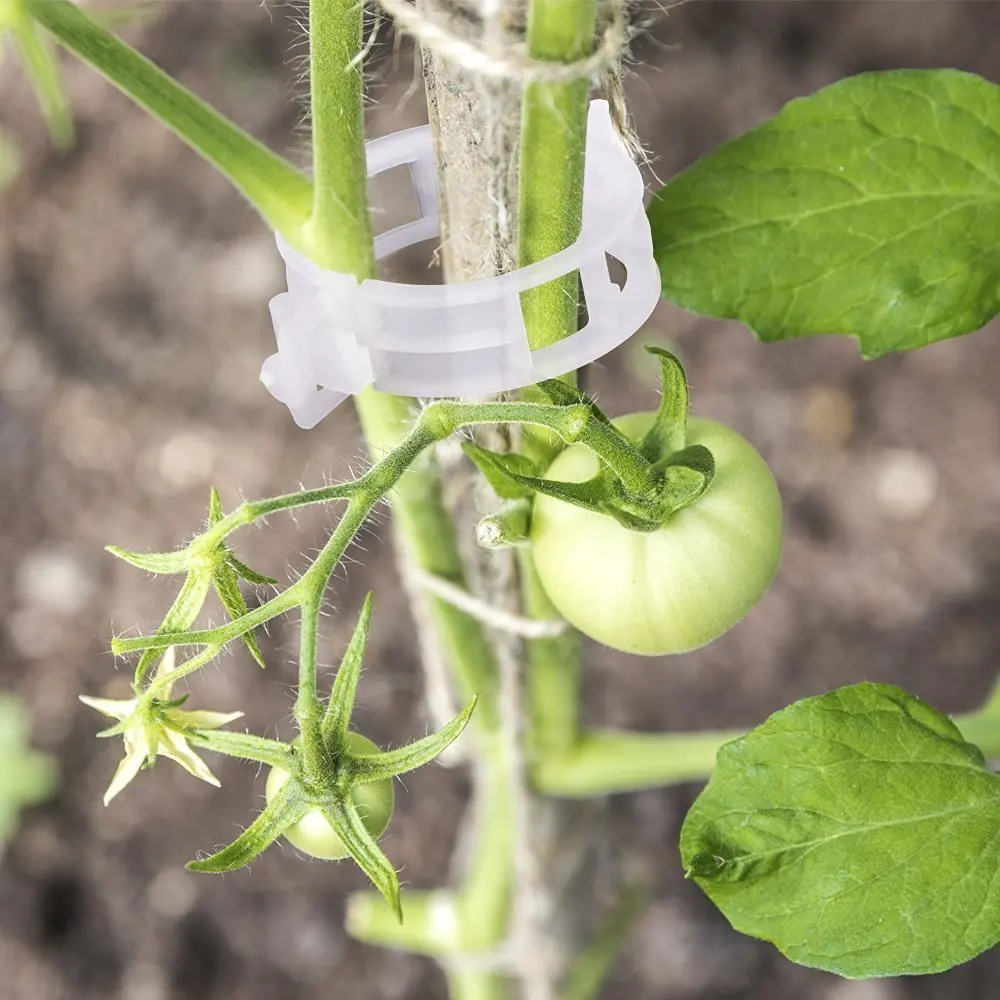 

50 or 100 pcs/lot Garden Plant Clips Flower Clip Ideal For Securing Plants to Plant Supports Tomato Clips Connects Twine Plants