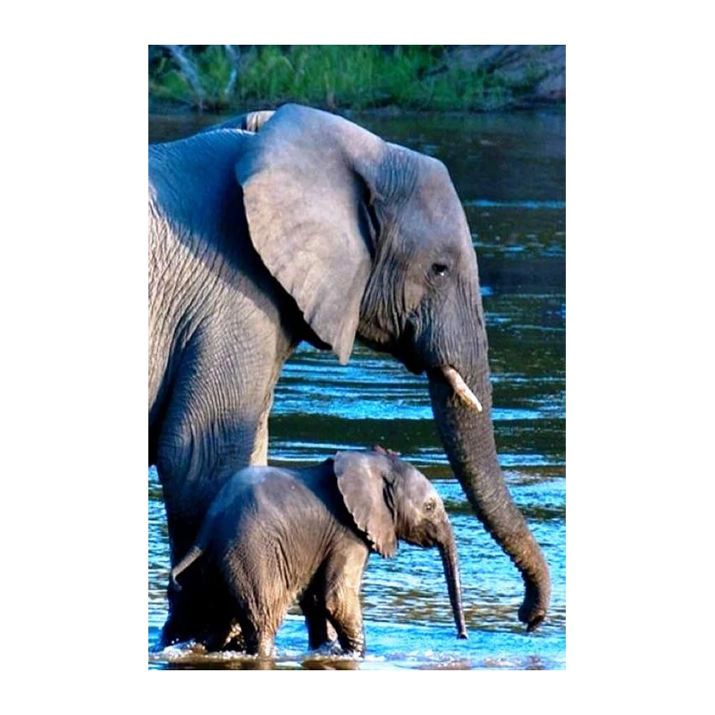 Diamond Embroidery Painting 3D Full Drill Diamond Mosaic Cross Stitch Elephant Pattern Full Pasted Painting DIY Crafts Decor