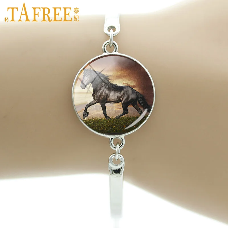 TAFREE 2017 бренд Pentium Horse браслет Пальто цвет немного белый лохматый и блестящий