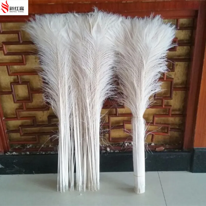 Popular White Peacock DecorBuy Cheap White Peacock Decor lots from