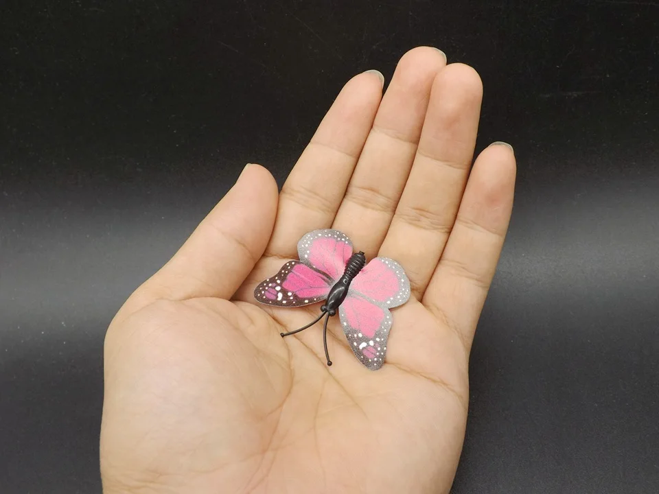 I249-Butterfly (5)