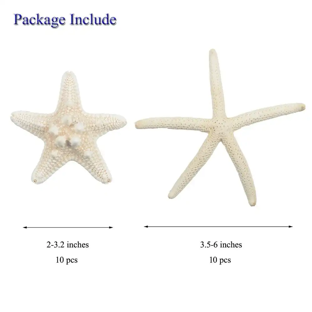 Download Playa decoraciones de estrellas de mar de la boda For Android Free