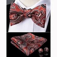 DiBanGu Красный Пейсли шелк ручной работы Мужчины Бабочка самостоятельно регулируемый галстук-бабочка Карманный платок носовой платок набор для мужчин подарок LH-075