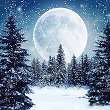 

New Home Decor Moon Tree Diamond Embroidery Kits Diamond Full Mosaic Handiwork 3D Cross Stitch Painting Craft Landscape Snow