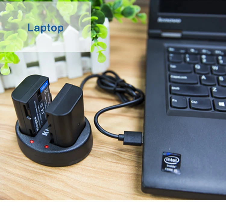 DMW-BLF19E-battery-and-charger-(details-photos)-1960mAh_07