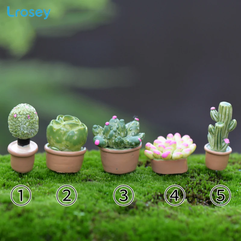 

5pcs Cactus Micro Landscape Ecology Bottle Decoration Fleshy Decoration DIY Assembly Garden Home Resin Accessories Figurines