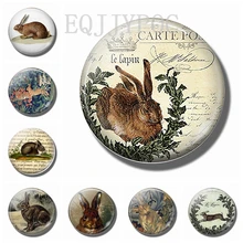 Easter Bunny 30MM Fridge Magnets Glass Dome Magnetic Stickers for Refrigerator Magnet Rabbit Note Holder Cute Animals Home Decor