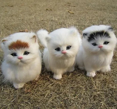 Animal-simular-juguete-de-los-ni-os-de-gato-mascota-de-peluche-de-juguete-modelo-decoraci.jpg