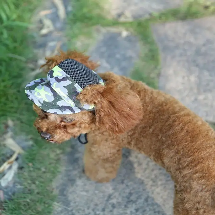 Высококачественная бейсбольная кепка для собак с отверстиями для ушей, парусиновая шляпа для щенков, спортивная летняя кепка для