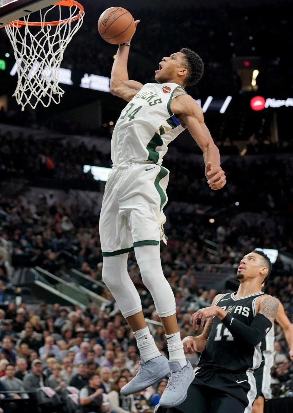 giannis antetokounmpo poster dunk