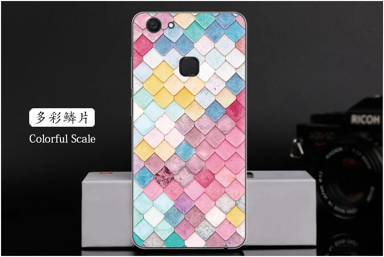  Colorful Scale