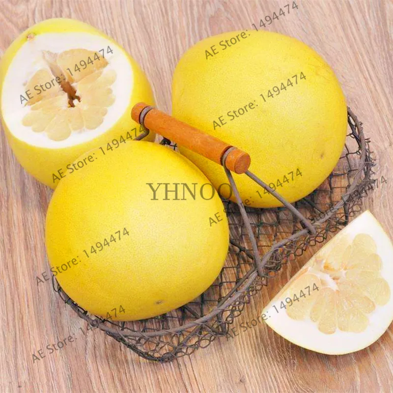 Pomelo Seeds 10pcs Best Seeds Online Free Shipping Worldwide