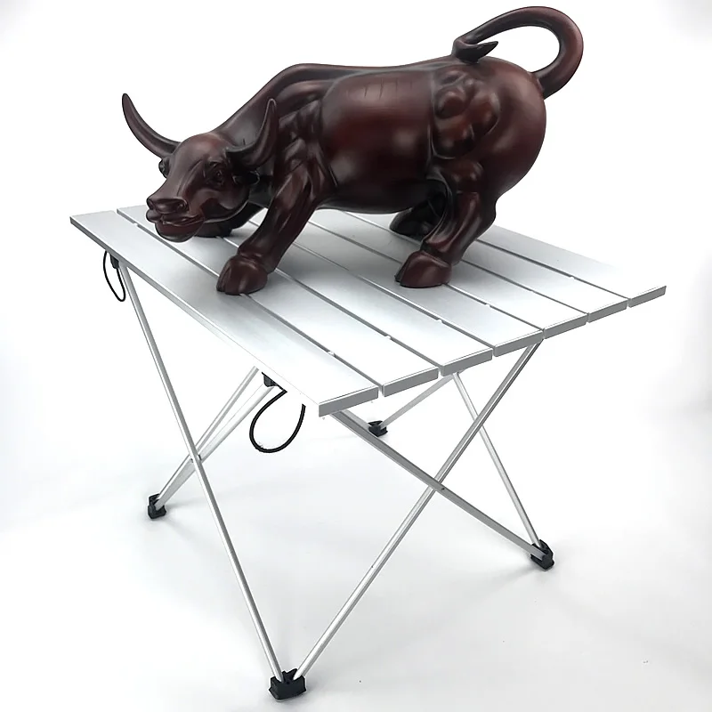 

Table Camping Hiking Table