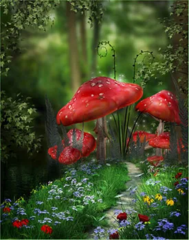 

Goth Forest with Red Mushroom Photography Backdrops 5x7ft Custom Photographic Background Studio for Baby Shoot Photo Props