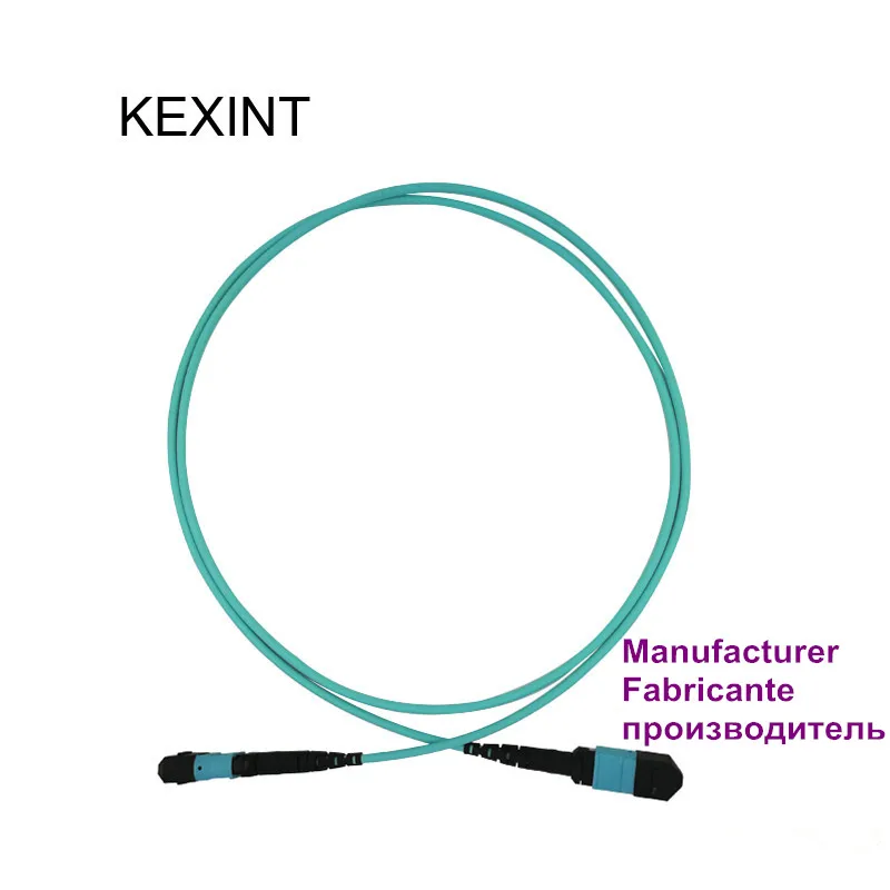 Cavo Patch In Fibra Ottica Mtp-Mtp Mpo-Mpo Om3 12Core 40G All'Ingrosso/3 Metri