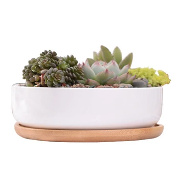 

1 Set Minimalist White Ceramic Succulent Plant Pot Porcelain Deep Rounded Pot Desktop Pot Zakka Home Decor (1 Pot + 1 Tray)