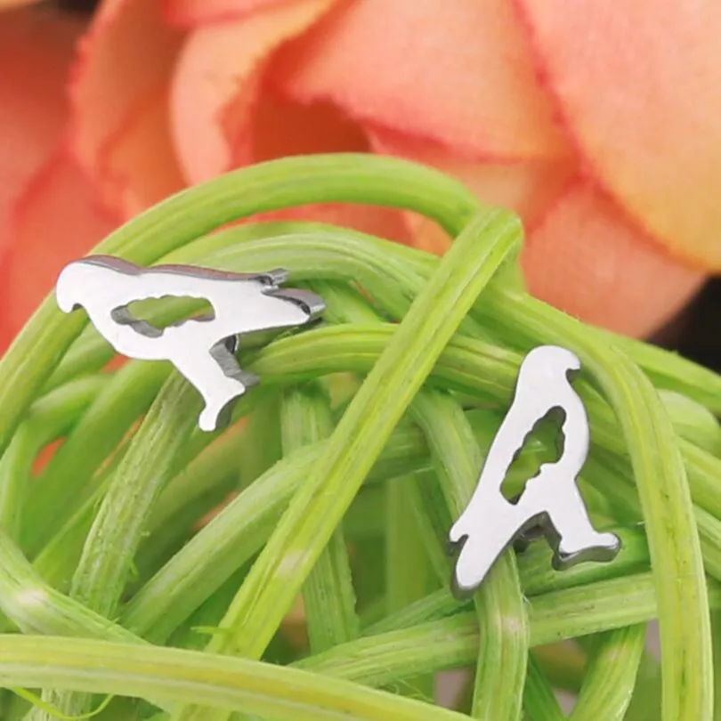 Birds Animal Brief Titanium Stainless Steel Primary Colors Plated Men