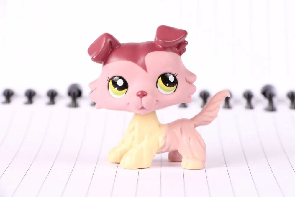 New Pet Collection Figure LPS 1723 mauve plum creme brown collie with green eyes Kids font
