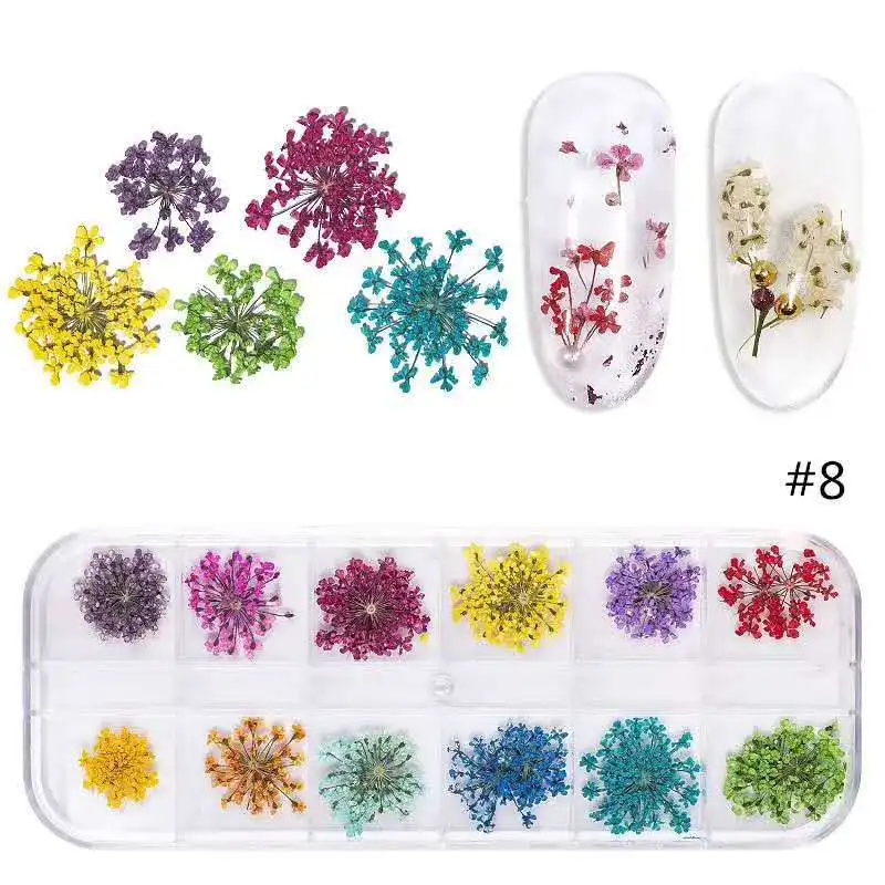 Сушеные цветы смешивания ногтей 12 цветов 2,5-3 см Minoan кружева натуральные высушенные цветы прессованные цветы Живой Цветок в сушке ногтей стикер
