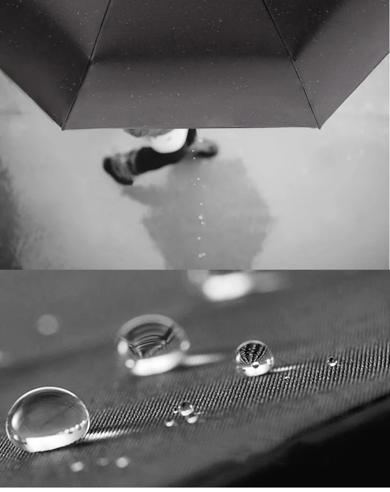 4043705626_559811128
