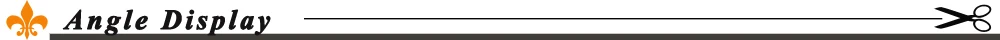 Angle Display
