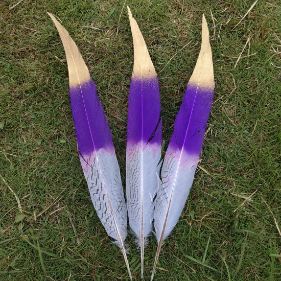 Purple and Golden 100 шт. Редкий Натуральный Серебряный хвост фазана перо 75-80 см/30-32 дюйм(ов) Свадьба/танцевальный концерт вечерние/Хэллоуин/украшение дома - Цвет: Purple and Golden