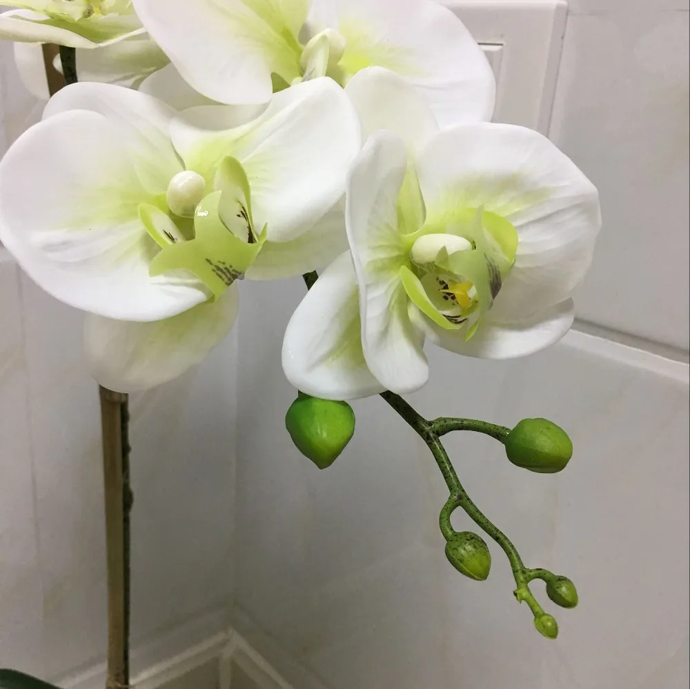 QQ20180120153509_