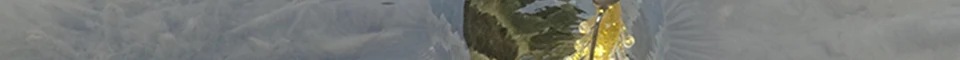 eng_49