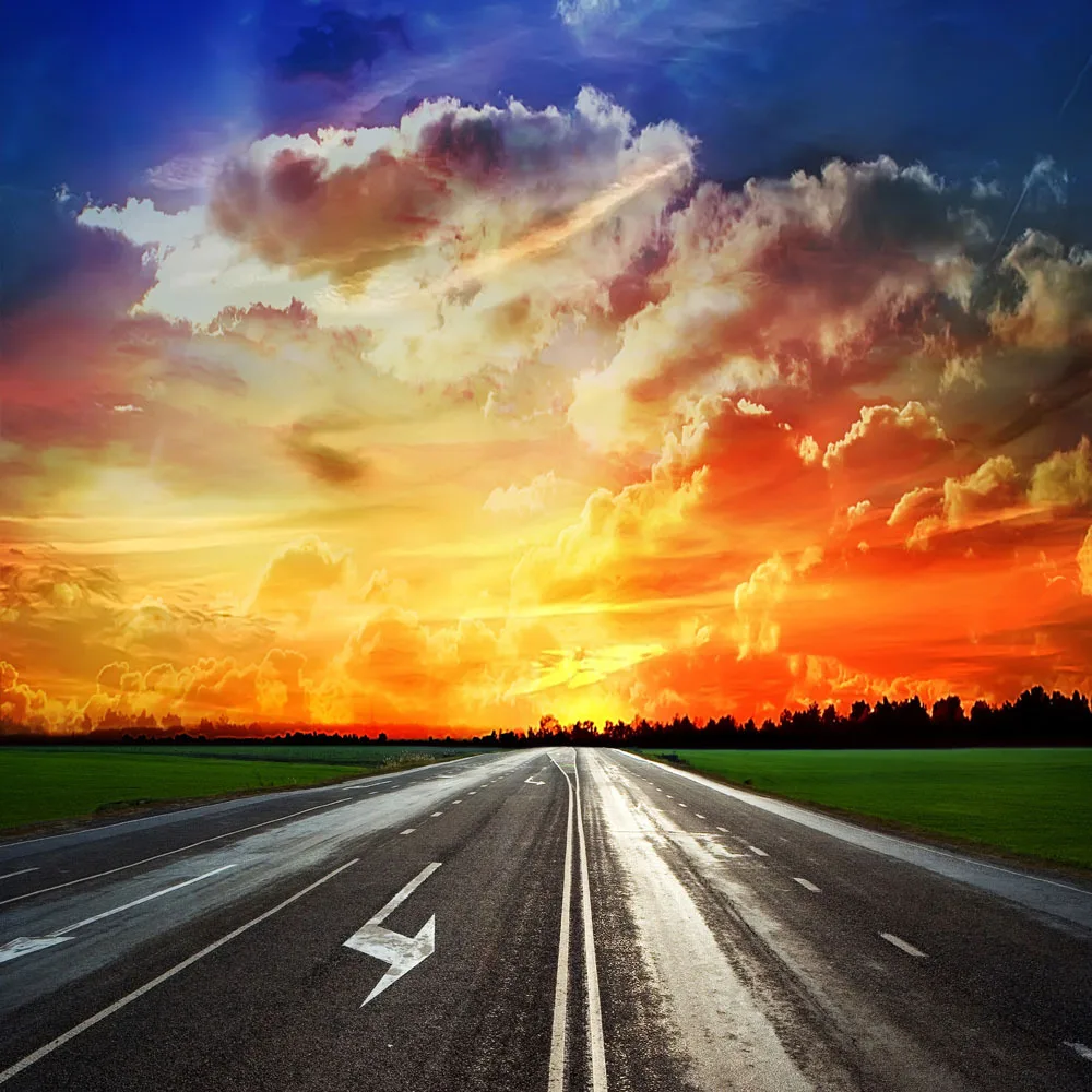 

Vinyl Custom Photography Backdrops Props Road theme Photo Studio Background GL-12