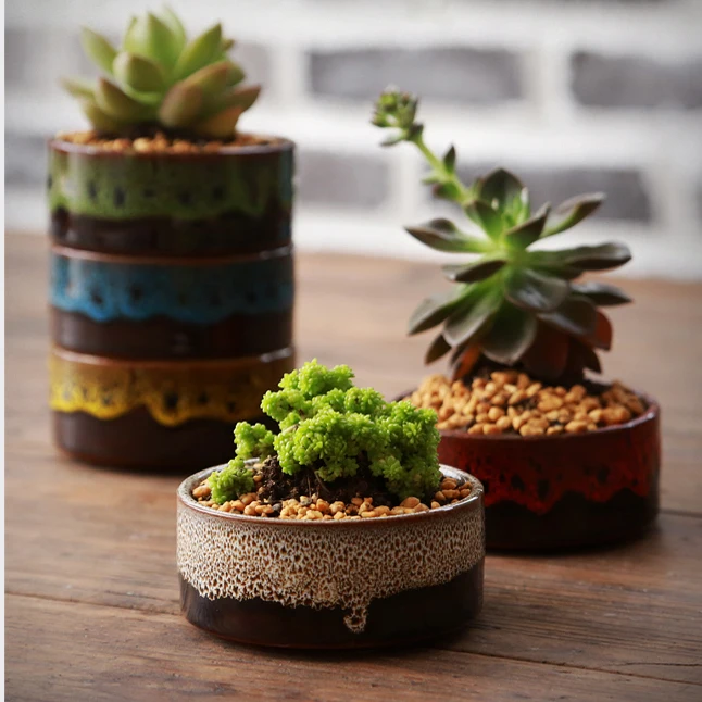 KEYBOX Home Micro Garden Decoration Mini Round Juicy 