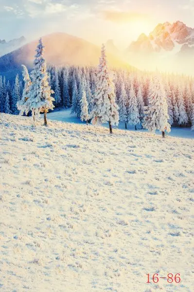 

SHANNY Vinyl Custom Photography Backdrops Prop Digital printed Winter theme Photo Studio Background 16-86
