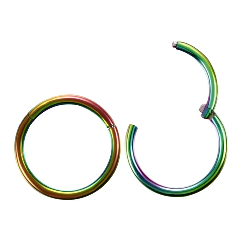 2шт G23 класс титановый пирсинг носа сегмент шарнирные кольца хряща серьги спиральные пирсинг Лабрет PVD универсальные украшения для тела - Окраска металла: Rainbow