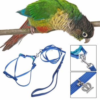 

Bird Parrot Leash Pet Harness Outdoor Adjustable Anti Bite Training Rope Flying Band Leashes Birds Supplies Blue/Red